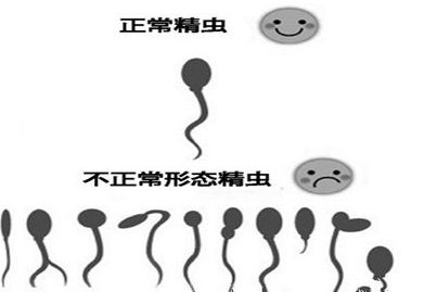 今日关注：泰国试管婴儿做一次多少钱？准备多少钱足够？