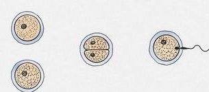 女性子宫肌瘤在淮安市妇幼保健院做三代试管预算八万块够不够？