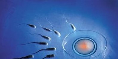 试管促排雌二醇低可以吃补佳乐也会有反作用？